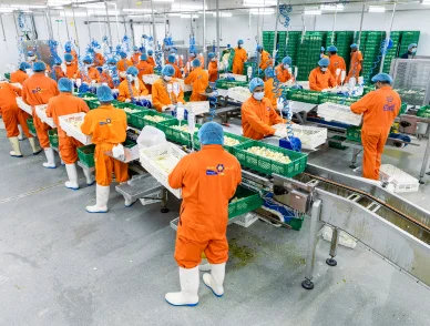 <p>Supportive macro-economic environment and significant sector growth potential</p>