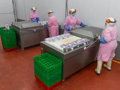 <p>Highly experienced workforce to drive operations</p>